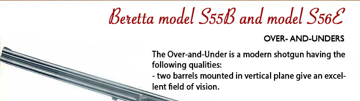 Beretta S55 1