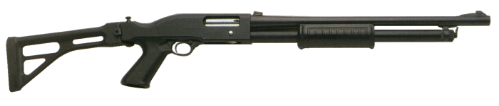 Model RS202 M1