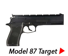 Beretta model 87 target